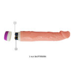 dildo in sex toy